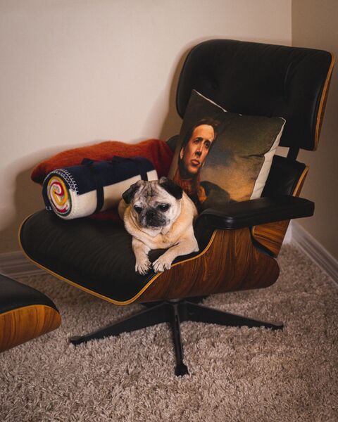 El sillón Eames como icono cultural