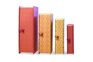 Las cajas de Dr Vincent
