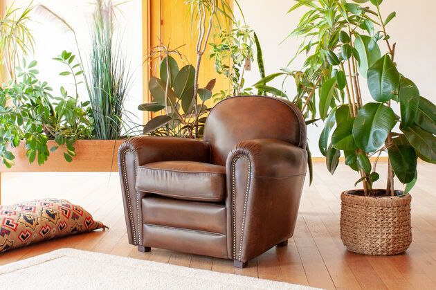 Sillón club de cuero color gamuza English Coffee